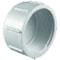 Charlotte Pipe And Foundry Charlotte Pipe Schedule 40 1 in. FPT X 1 in. D FPT PVC Cap 1 pk PVC 02117 1200 - alternate 1